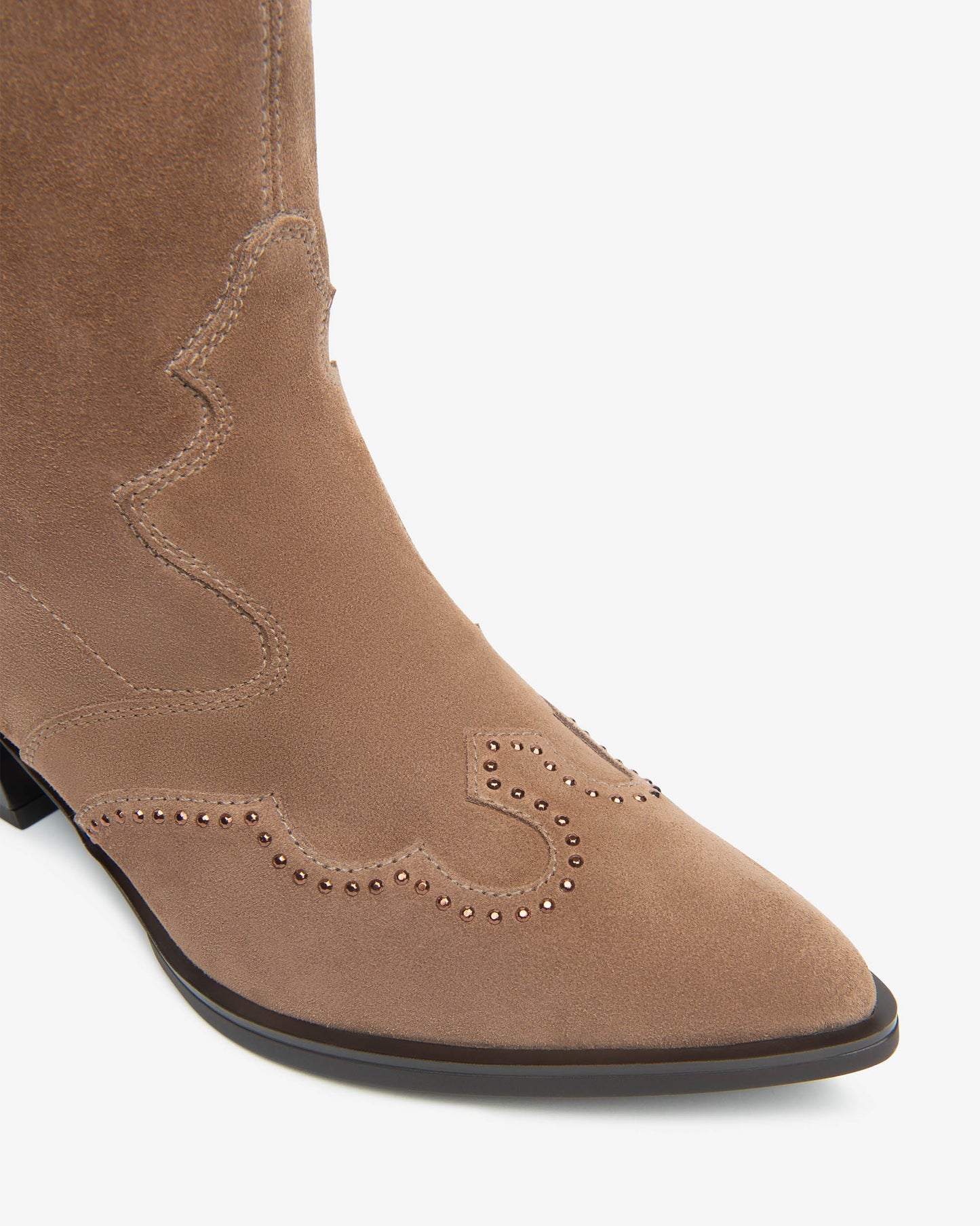 NeroGiardini Stivali Donna in Suede I513914D-442